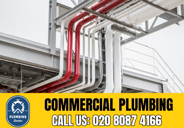 commercial plumbing Acton