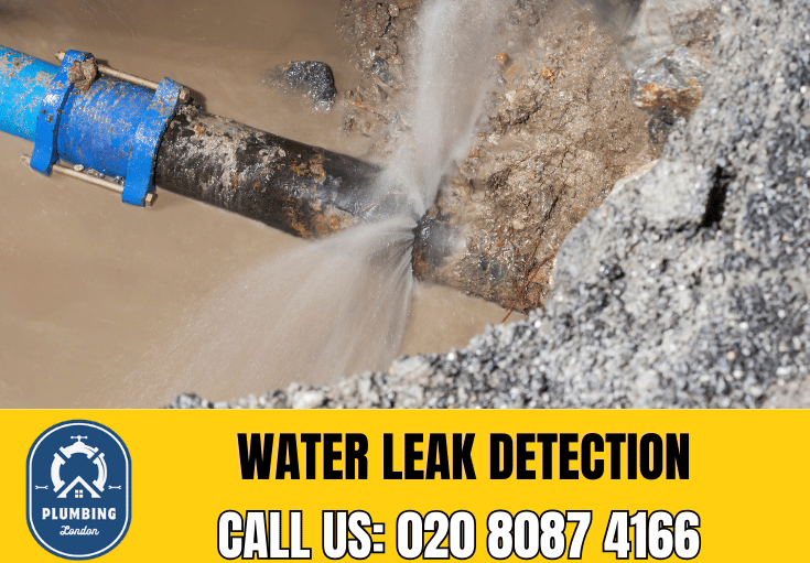 leak detection Acton